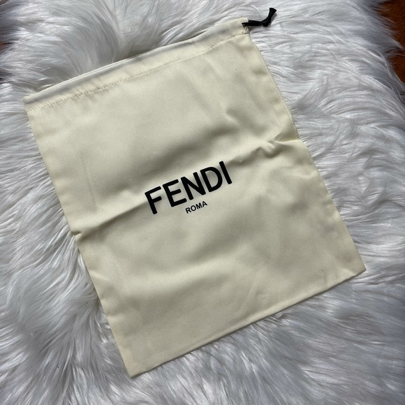 Fendi Other - NWT Fendi shoe bag